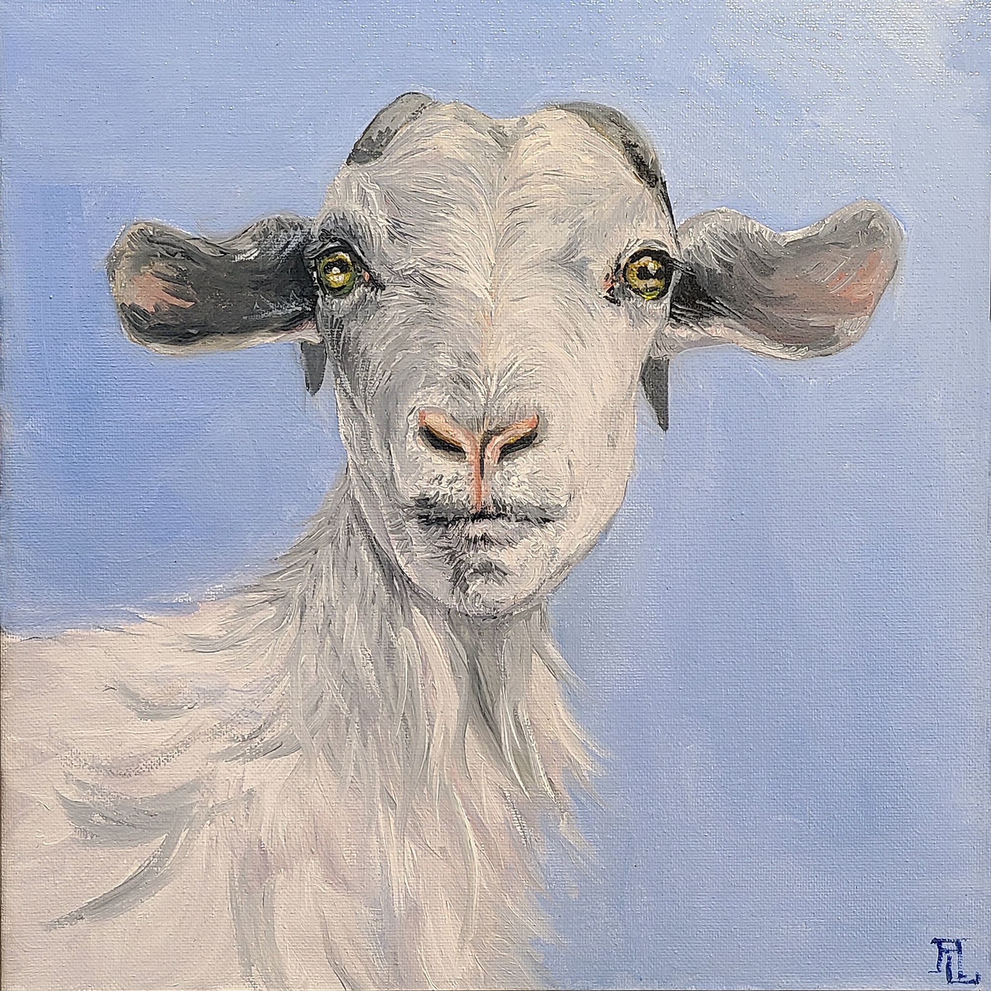 White Goat by Annie Lesch
