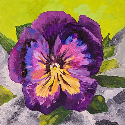 Pansy by Susan Getty