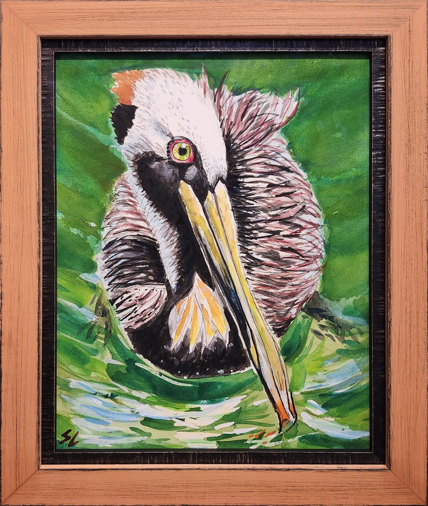 Pelican by Stuart Leask